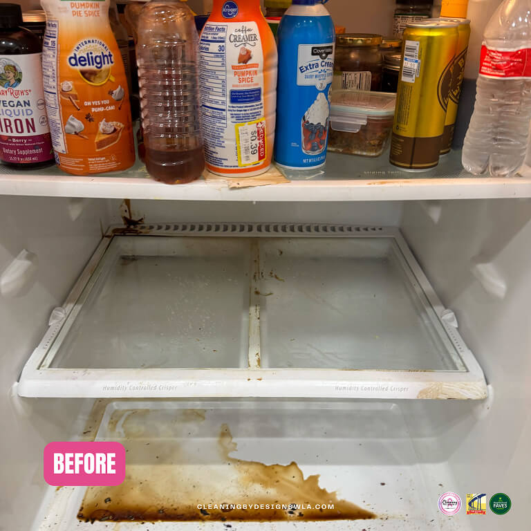 fridge-before